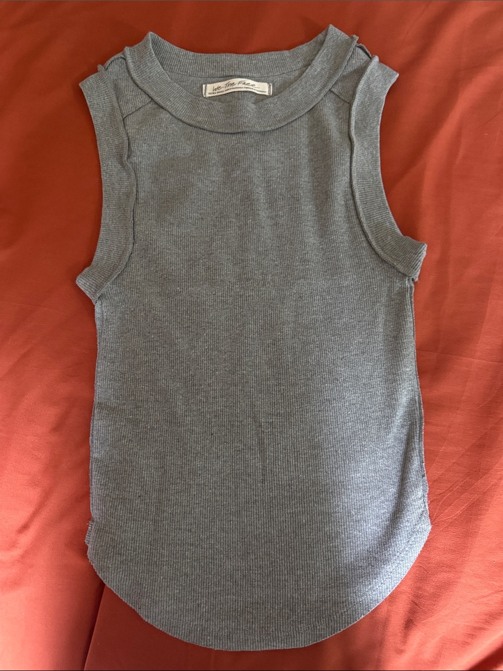 Free People Gray Ribbed Crewneck Tank